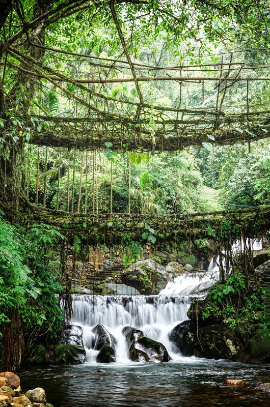 Arunachal Tour