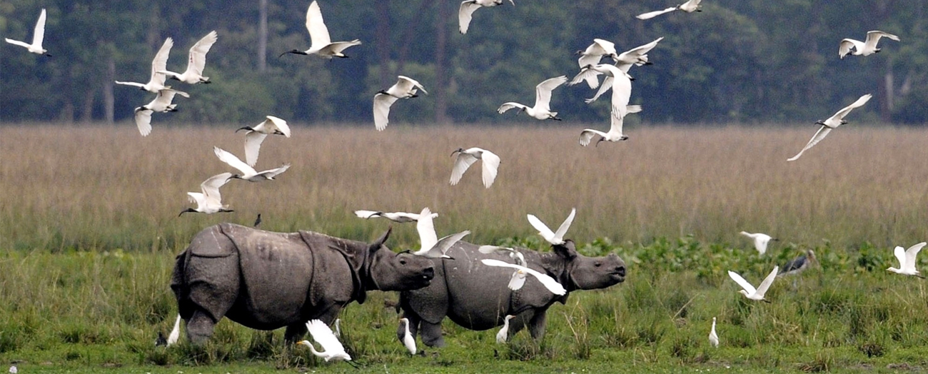 Arunachal Tour