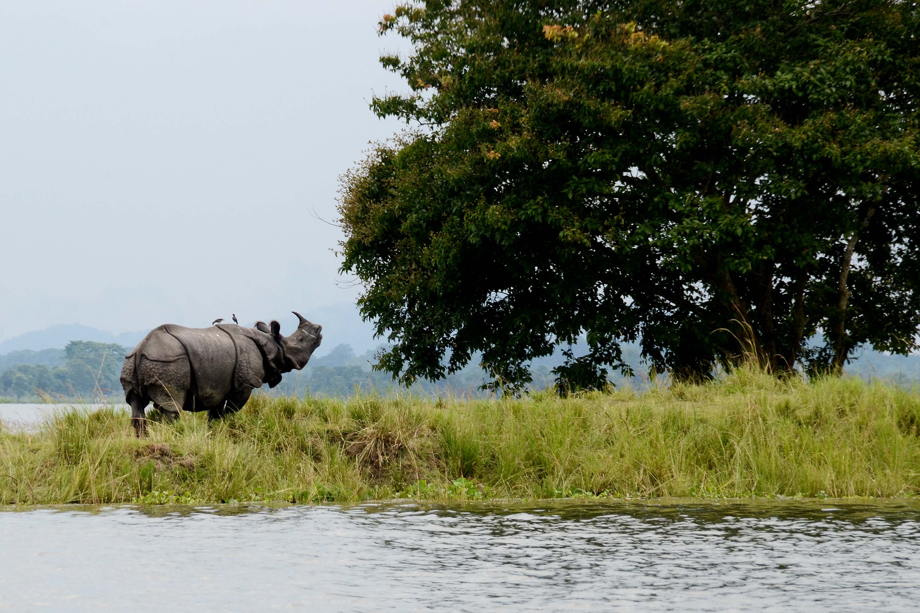 Arunachal Tour